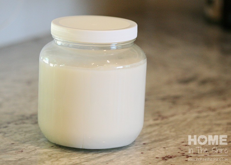 Homemade Coconut Milk Yogurt! - Our Life in the Shire