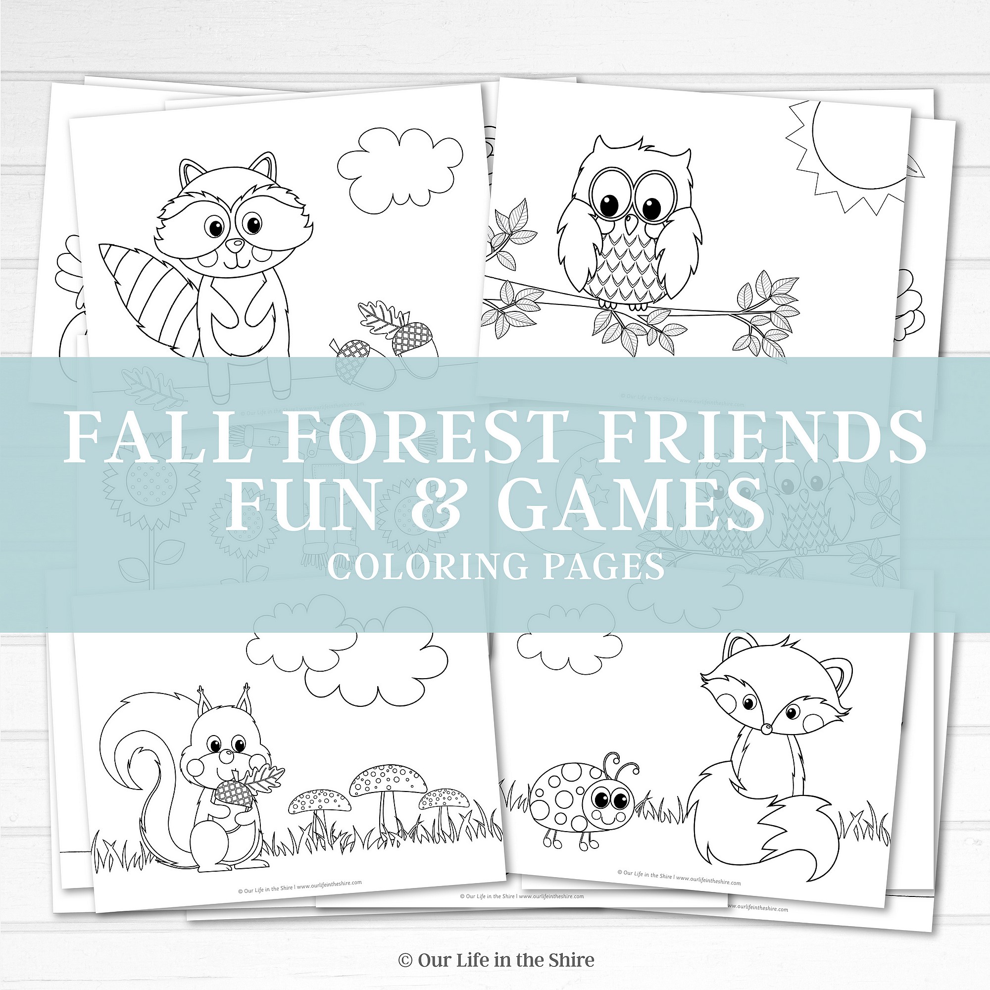 Forest Friends | Coloring & Activity Pack | Homeschool Printable Set